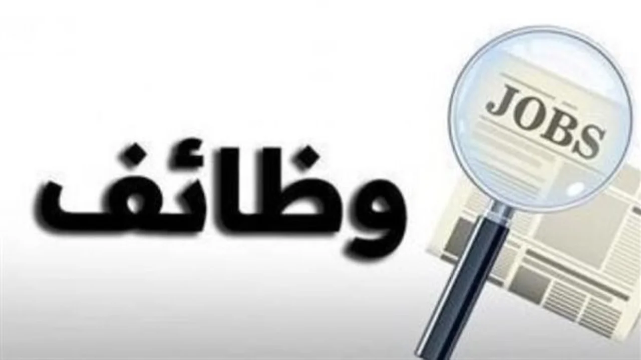 رواتب مجزية.. وظائف شاغرة لسائقي وعمال إنتاج بحد أدنى 9000 جنيه